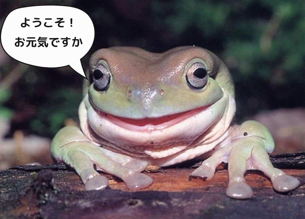ようこそ